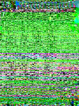 Snapshot of xiaoxiao-5200 chatting on 19, 12, 2025 xiaoxiao-5200 online show from 19, 12, 2025