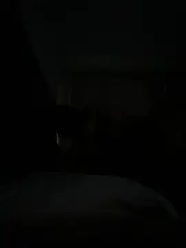 BellaSean online show from 14, 2, 2026