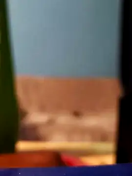 Snapshot of Roberto772 chatting on 26, 2, 2026 Roberto772 online show from 26, 2, 2026