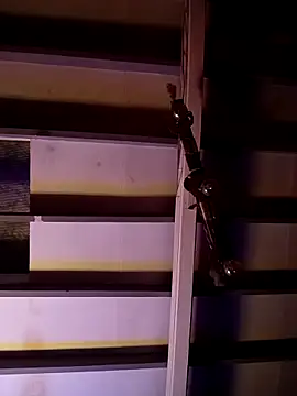 Casa Gatica2 online show from 6, 2, 2026