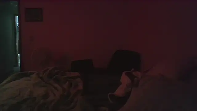 Snapshot of dixielover1229 chatting on 16, 12, 2025 dixielover1229 online show from 16, 12, 2025