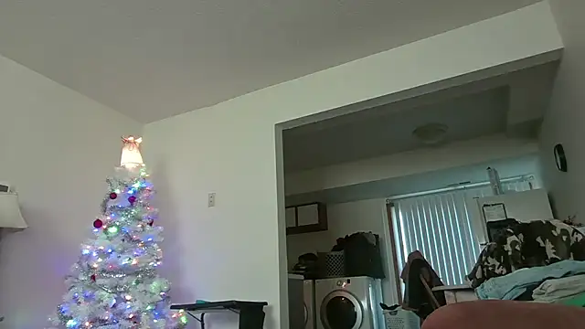 Snapshot of dixielover1229 chatting on 17, 12, 2025 dixielover1229 online show from 17, 12, 2025