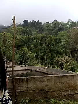  CTMay 77 online show from 1, 4, 2026