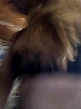 Snapshot of cari75 chatting on 3, 2, 2026 cari75 online show from 3, 2, 2026