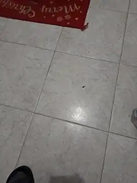 Mar81 online show from 12, 1, 2026