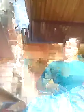 Pinki rajak online show from 16, 2, 2026