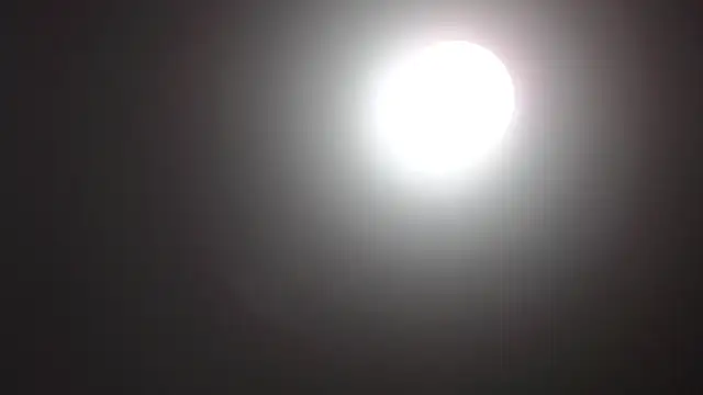 Catherine Walker online show from 14, 12, 2025