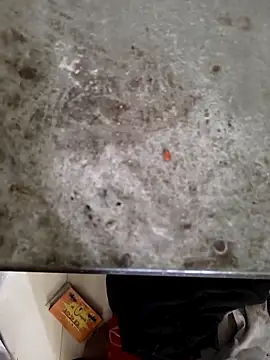 Snapshot of Niteenku chatting on 28, 3, 2026 Niteenku online show from 28, 3, 2026