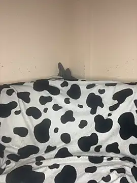 FOXXX BABY online show from 22, 2, 2026