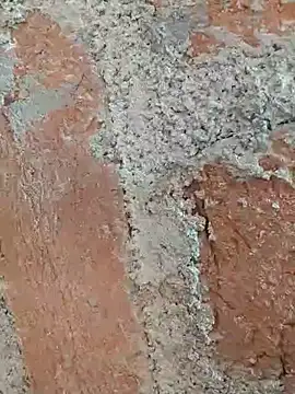 Soniya5533 online show from 14, 12, 2025