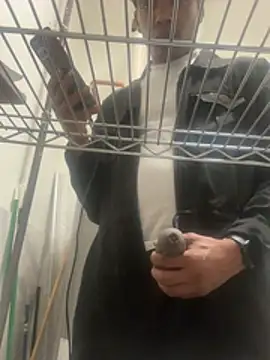 toleronmilk online show from 31, 3, 2026