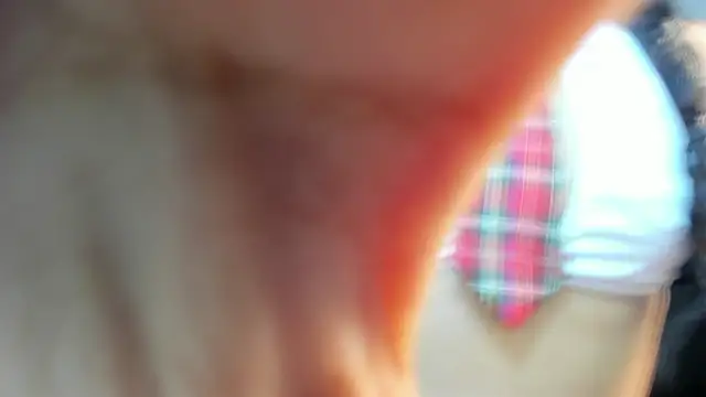 valeria dark  online show from 17, 1, 2026