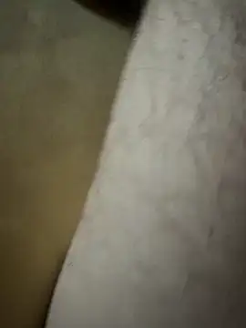 Snapshot of Lilalache chatting on 14, 12, 2025 Lilalache online show from 14, 12, 2025