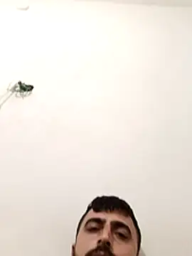 Kurterkegi online show from 20, 12, 2025