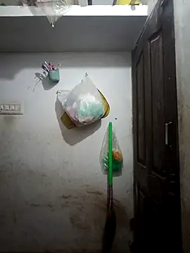 tamilsaisree online show from 17, 2, 2026