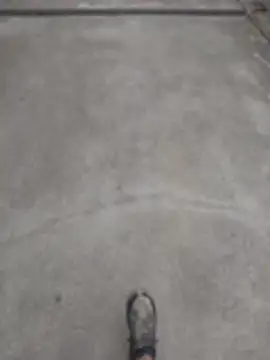 SnappedHagfish online show from 17, 6, 2026