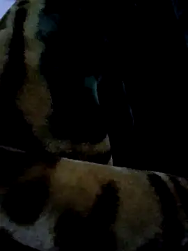 Snapshot of aman4404 chatting on 6, 1, 2026 aman4404 online show from 6, 1, 2026