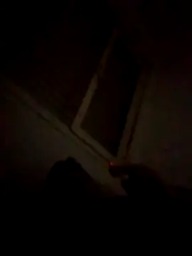 Camilooo123455 online show from 23, 12, 2025