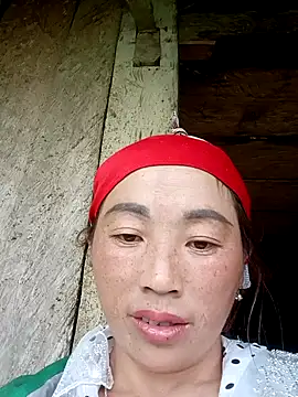 seacyre online show from 11, 5, 2026