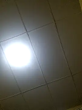 thebruvisacoolsoul online show from 20, 12, 2025