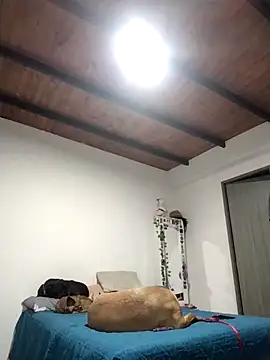 Snapshot of Perfect_match19 chatting on 22, 12, 2025 Perfect match19 online show from 22, 12, 2025