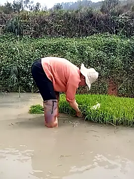 Girl cutee online show from 16, 3, 2026