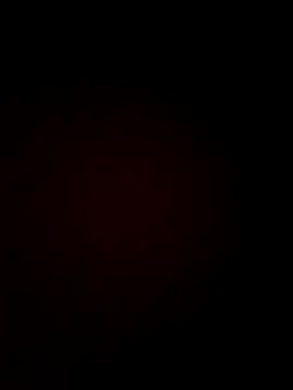 Bandna cuty online show from 20, 12, 2025