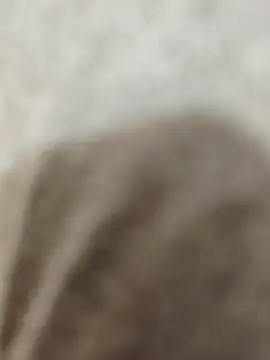 Snapshot of Indian_groupxxx chatting on 16, 12, 2025 Indian groupxxx online show from 16, 12, 2025