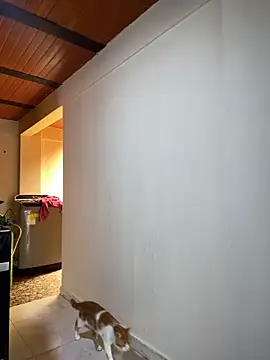 Snapshot of Noxveeltt chatting on 1, 4, 2026 Noxveeltt online show from 1, 4, 2026