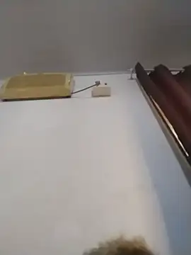 darkbombolete online show from 20, 12, 2025