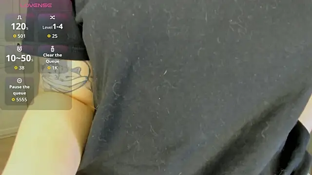 Snapshot of RidenSoul chatting on 13, 1, 2026 RidenSoul online show from 13, 1, 2026