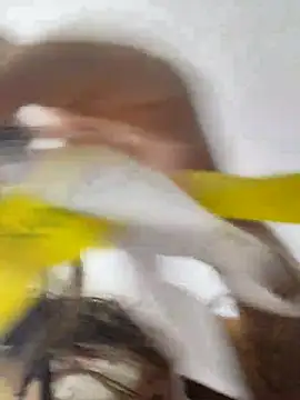 jinx candy online show from 1, 2, 2026