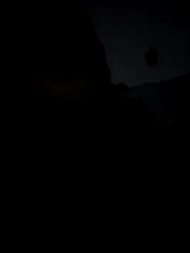 IneedTipsBaby online show from 19, 12, 2025