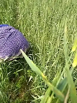 Snapshot of hornycouple20000 chatting on 1, 2, 2026 hornycouple20000 online show from 1, 2, 2026