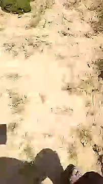 hornycouple20000 online show from 27, 3, 2026