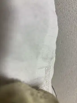 maonyan6 online show from 13, 2, 2026