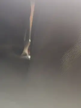 Snapshot of Cupalshow123 chatting on 16, 1, 2026 Cupalshow123 online show from 16, 1, 2026