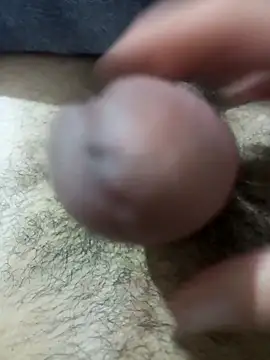 So1sh online show from 26, 2, 2026