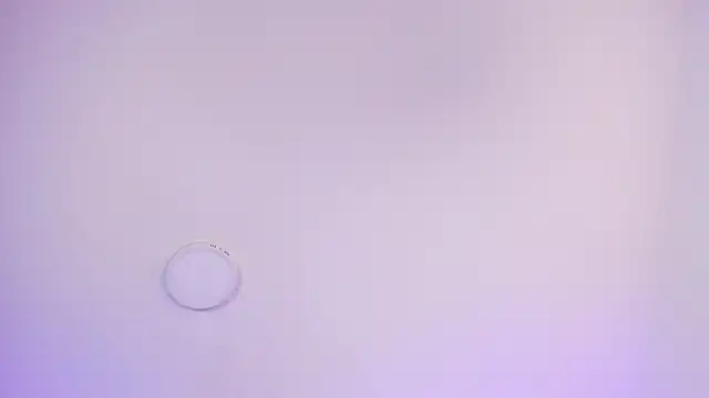 Genesis And Jack  online show from 26, 2, 2026