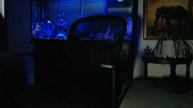 EspanolVato online show from 8, 2, 2026