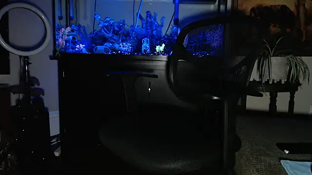 EspanolVato online show from 19, 2, 2026