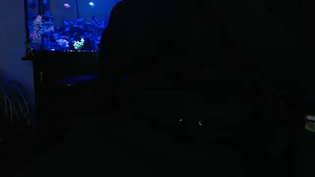 EspanolVato online show from 28, 4, 2026