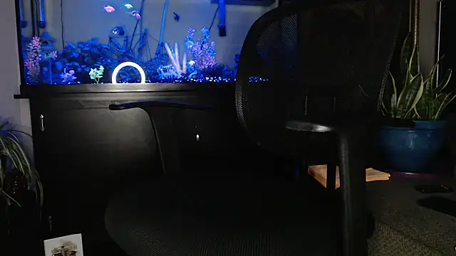 EspanolVato online show from 6, 5, 2026