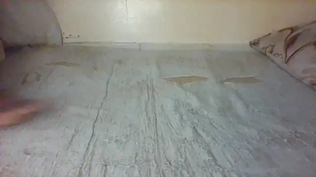 lebogangkat online show from 11, 2, 2026