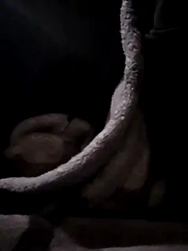 Snapshot of YoungAsainWithATrunk chatting on 19, 1, 2026 YoungAsainWithATrunk online show from 19, 1, 2026