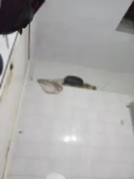 Snapshot of darkgodessone chatting on 4, 4, 2026 darkgodessone online show from 4, 4, 2026