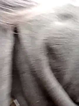 Snapshot of him220 chatting on 23, 2, 2026 him220 online show from 23, 2, 2026