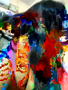 couple fun  online show from 15, 2, 2026