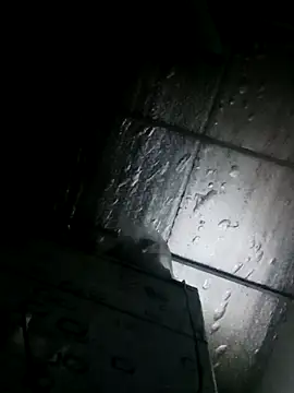 Snapshot of Sana-vn chatting on 24, 3, 2026 Sana-vn online show from 24, 3, 2026