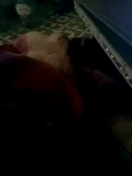 Snapshot of thich_lo chatting on 15, 3, 2026 thich lo online show from 15, 3, 2026